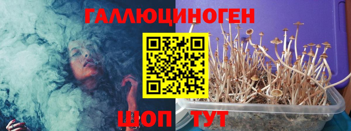 Галлюциногенные грибы мицелий Пушкино