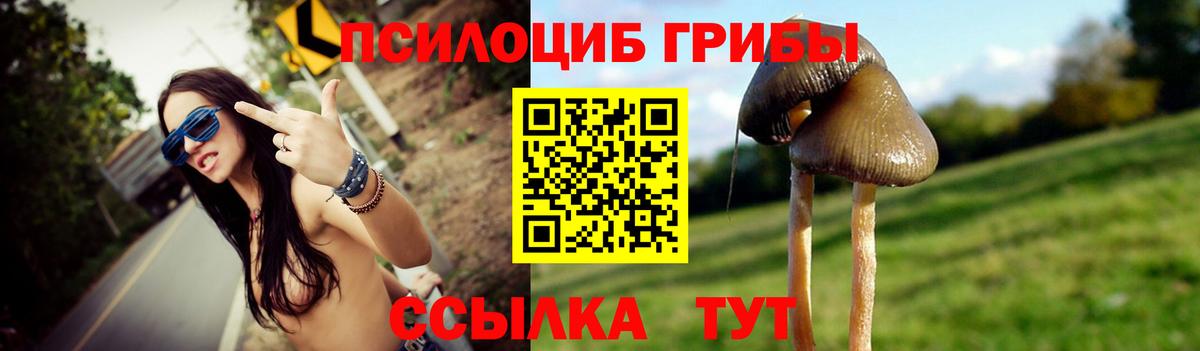 Псилоцибиновые грибы прущие грибы  Вход с VPN  Пушкино 